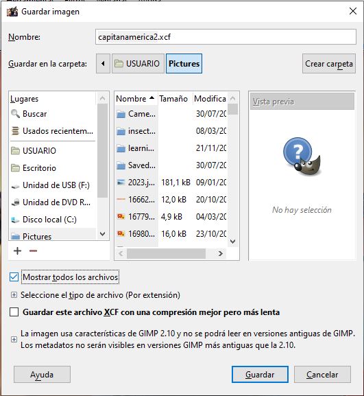 Ventana Guardar imagen